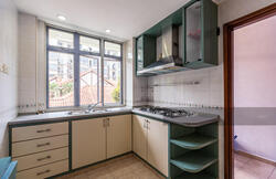 Melinia Court (D15), Apartment #257040861